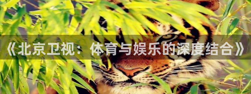 体育新闻
