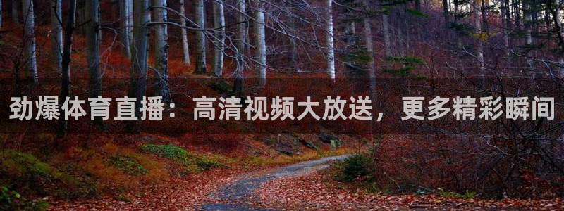 体育新闻