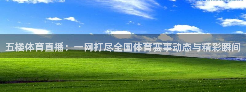 体育新闻
